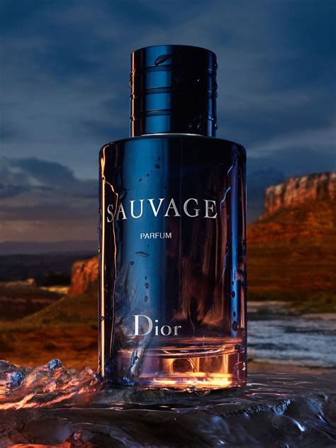 dior savavge|sauvage dior cost.